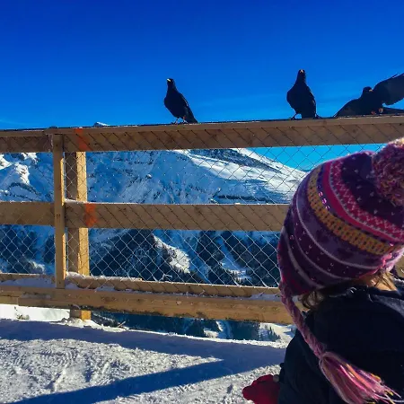 Haks Alpine Cozy Retreat Apartment