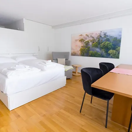 Haks Alpine With Mountain View Apartment
