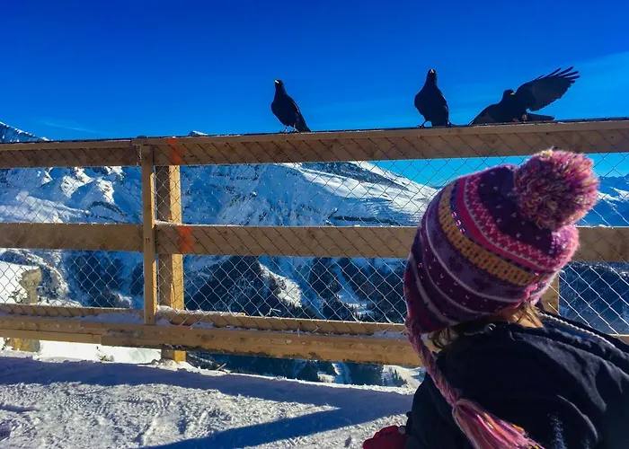 Haks Alpine Cozy Retreat Апартаменти