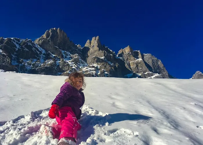 Haks Alpine Cozy Retreat *